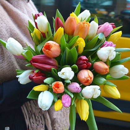 comprar-tulipanes-madrid