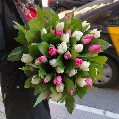 flores-tulipan-madrid
